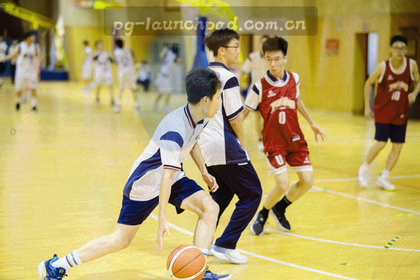 活动规则、会员权益、下载入口的图标组合